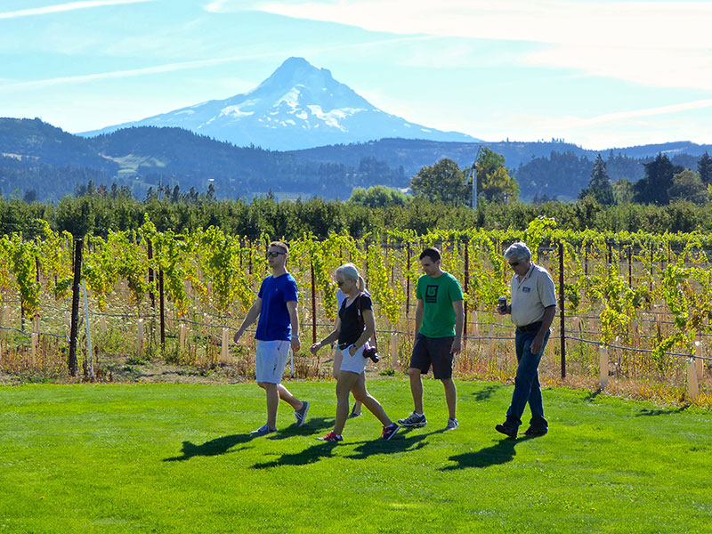 Mt. Hood Winery stroll on the south lawn