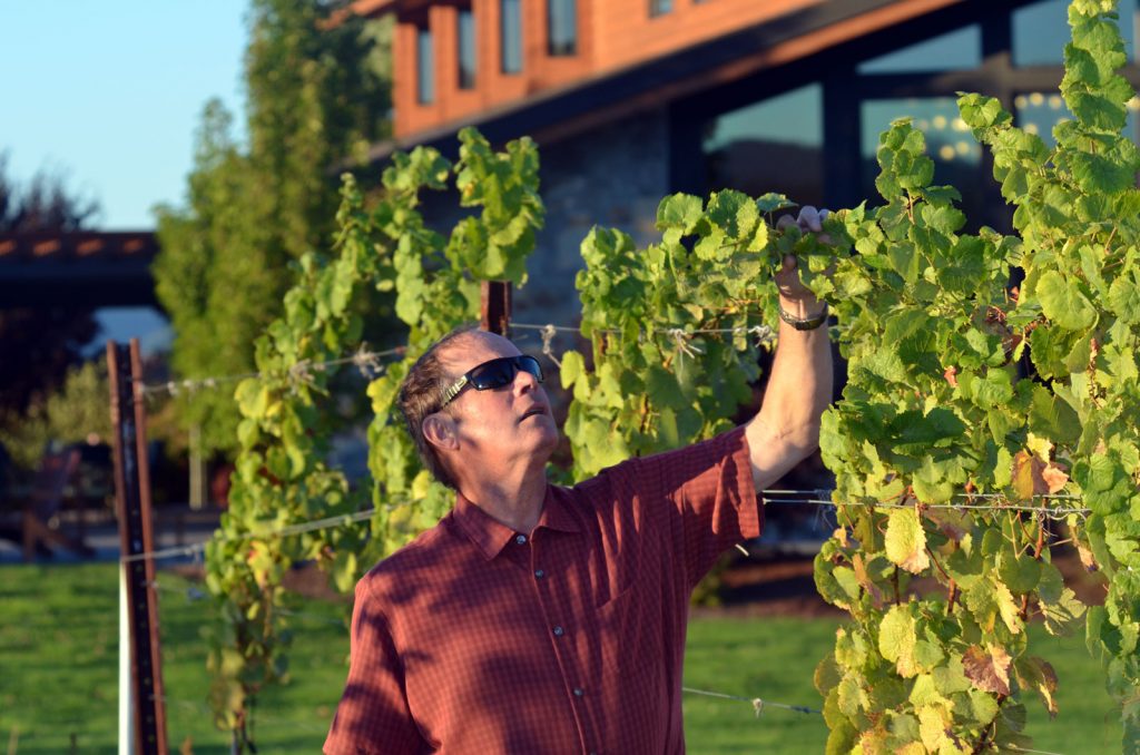 Mt. Hood Winery offers a broad selection of wines and Mt. Hood views